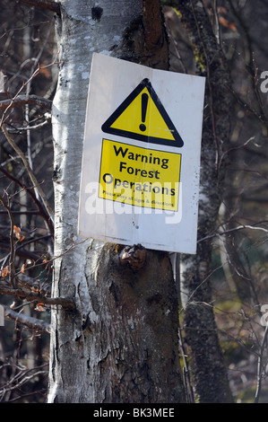 Les OPÉRATIONS FORESTIÈRES PANNEAU D'AVERTISSEMENT DANS UNE FORÊT EXPLOITATION FORESTIÈRE AU PAYS DE GALLES, Royaume-Uni Banque D'Images