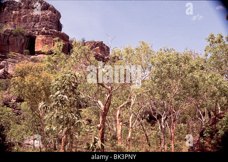 Le site culturel de Burrunggui (anciennement Nourlangie Rock) Et forêt dans le parc national de Kakadu près de Darwin dans le Territoire du Nord de l'Australie Banque D'Images