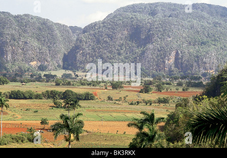 Vallée de Vinales Pinar del Rio Province de Cuba encerclé par les montagnes et paysage alternant avec des affleurements rocheux spectaculaires Banque D'Images