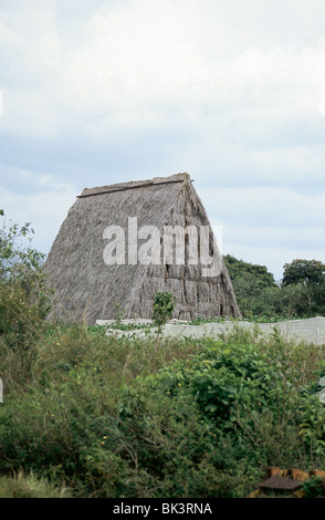 Casa de Tabaco (maison de tabac) où les cultures de tabac récolté suspendre pour sécher, Vallée de Vinales dans la province de Pinar del RÌo, Cuba Banque D'Images