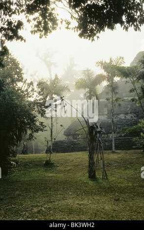 Les ruines mayas de Tikal, Guatemala Banque D'Images
