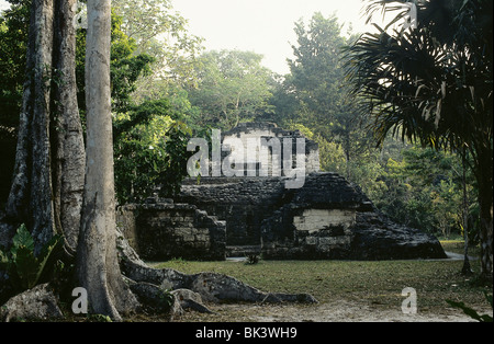 Les ruines mayas de Tikal, Guatemala Banque D'Images