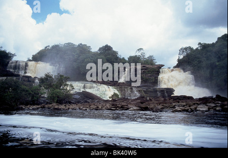 Le fleuve Carrao cascade sur Hacha Falls avec teinte marron de l'eau venant de tanins lessivés des forêts environnantes Banque D'Images