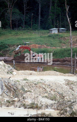 Exploitation minière de l'or avec une machine de pelleteuse dans l'État d'Amazonas, au Venezuela, en Amérique du Sud Banque D'Images