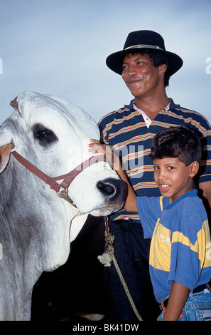 Lors d'une vache zébu county fair au Venezuela Banque D'Images