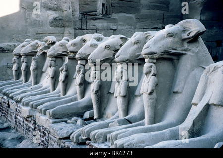 Avenue de Criosphinxes au Temple d'Amon à Karnak, Thèbes antique, l'Egypte Banque D'Images