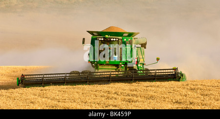 Une moissonneuse-batteuse John Deere les récoltes de blé tendre blanc au centre de l'Est de Washington Banque D'Images