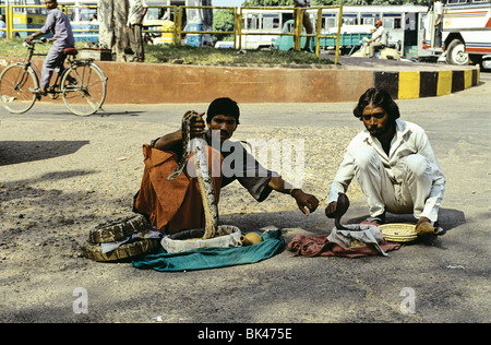 Les charmeurs de serpent tenant un python indien et en montrant un cobra, Inde Banque D'Images