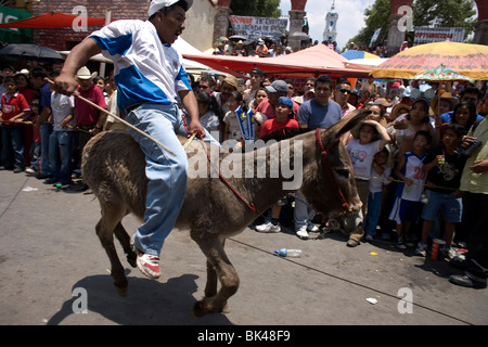 Un homme participe à une course d'ânes à la 48e Festival annuel âne en Otumba village, Mexique, le 1 mai 2008. Banque D'Images