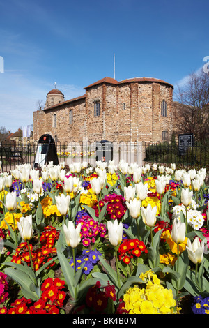 Grande-bretagne Essex Colchester Castle Park supérieur printemps tulipes Banque D'Images