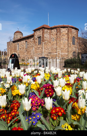 Grande-bretagne Essex Colchester Castle Park supérieur printemps tulipes Banque D'Images