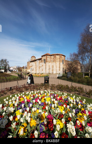 Grande-bretagne Essex Colchester Castle Park supérieur printemps tulipes Banque D'Images