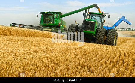 Une moissonneuse-batteuse John Deere récoltes de blé tendre blanc tandis que le déchargement sur le rendez-vous dans la région de Eastern Washington Palouse Banque D'Images