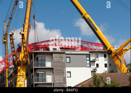 L'effondrement de grue à tour tombé sur toit de l'immeuble d'être soulevé par un autre crane Banque D'Images