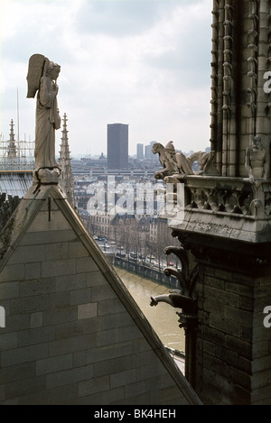 Les gargouilles et les sculptures sur la cathédrale Notre Dame, Paris Banque D'Images