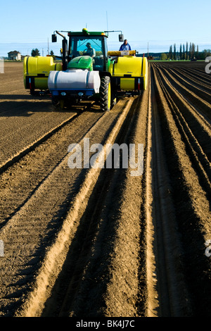 La plantation de pommes de terre avec un semoir 4 rangs d'être tiré par un tracteur John Deere au printemps dans Skagit County, Washington Banque D'Images