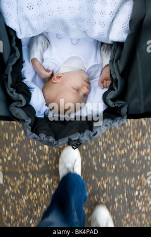 Nouveau-né / bébé nouveau-né soit poussé dans un landau / poussette. Banque D'Images