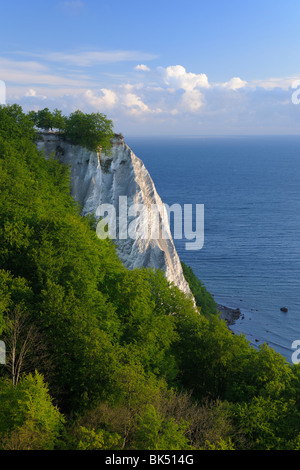 Koenigsstuhl, parc national de Jasmund, Ruegen Island, Quartier Ruegen, Mecklembourg, Mecklenburg-Vorpommern, Allemagne Banque D'Images