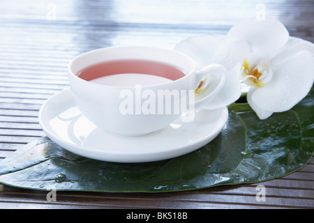 Tasse de thé Rooibos Banque D'Images