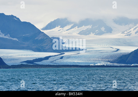 Bear Glacier, Kenai Fjords National Park, Alaska, USA Banque D'Images