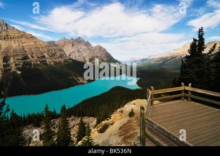 Le lac Peyto, Banff National Park, Alberta, Canada Banque D'Images