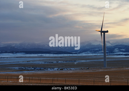 Éolienne, près de Pincher Creek, Alberta, Canada Banque D'Images