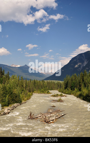 Swiftcurrent Creek et chaîne Columbia, le parc provincial du mont Robson, British Columbia, Canada Banque D'Images