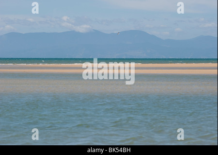 Plage, île du Sud, Nouvelle-Zélande Banque D'Images