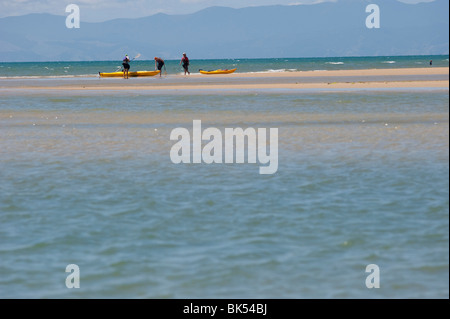 Plage, île du Sud, Nouvelle-Zélande Banque D'Images