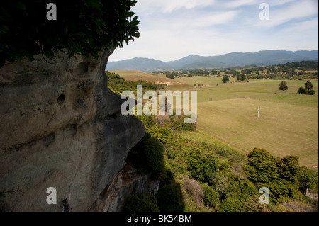 Grove Scenic Reserve, parc national Abel Tasman, Pakawau, île du Sud, Nouvelle-Zélande Banque D'Images