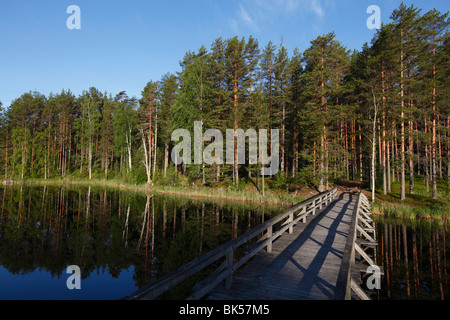 Passerelle sur le lac Puruvesi, Punkaharju, réserve naturelle, le lac Saimaa, District Savonia, Finlande, Scandinavie, Europe Banque D'Images