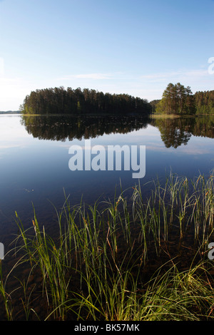 Lac Pihlajavesi, Punkaharju, réserve naturelle, le lac Saimaa, District Savonia, Finlande, Scandinavie, Europe Banque D'Images