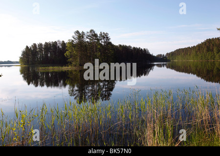 Lac Pihlajavesi, Punkaharju, réserve naturelle, le lac Saimaa, District Savonia, Finlande, Scandinavie, Europe Banque D'Images