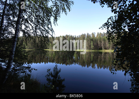 Lac Pihlajavesi, Punkaharju, réserve naturelle, Savonlinna, Savonia, Finlande, Scandinavie, Europe Banque D'Images