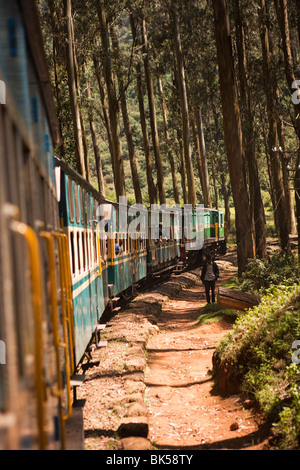 L'Inde, le Tamil Nadu, Udhagamandalam (Ooty), Chemin de fer de montagne Nilgiri train dans rack bois alpin Banque D'Images