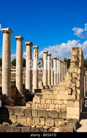 Ruines de la Décapole ville de Scythopolis, Bet She'an Parc National, Israël, Moyen Orient Banque D'Images