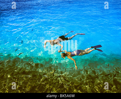 Plongée avec tuba, Couple Maldives, océan Indien, Asie Banque D'Images