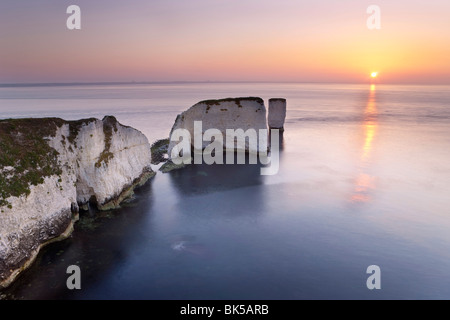 Old Harry Rocks, l'avant-pays ou Handfast Point, Studland, à l'île de Purbeck, Dorset, Angleterre, Royaume-Uni, Europe Banque D'Images