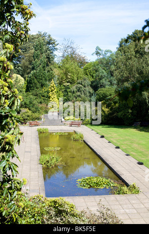 L'étang ornemental, Golders Hill Park, au bord de Hampstead Heath, Londres, Angleterre, Royaume-Uni, Europe Banque D'Images