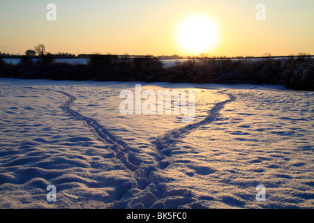 Coucher de soleil sur les pistes de neige Banque D'Images