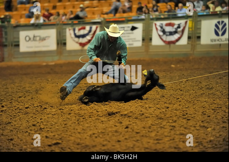 Au cours d'un cowboy Calf roping concours, Fort Worth, Texas Banque D'Images