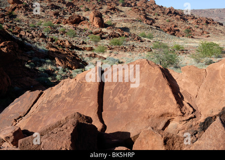 Gravures, UNESCO World Heritage Site, Twyfelfontein, Namibie, Afrique du Sud Banque D'Images