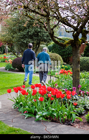 Deux hommes à pied à travers le magnifique jardin de l'ampoule dans DeGeode Mossyrock, Washington. Tulipes en fleurs du jardin de remplissage avec la couleur. Banque D'Images