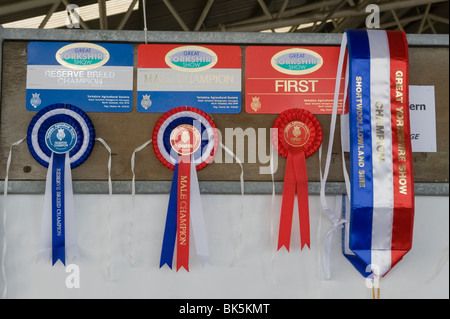 Grand prix sur rosettes Yorkshire show en les gagnants des boîtiers. Banque D'Images