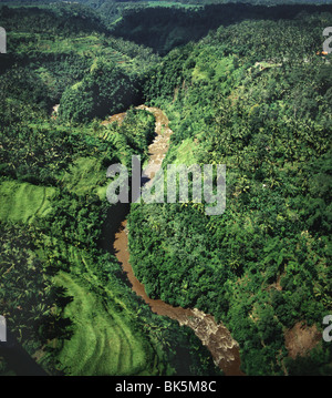 Sayan gorge, Ubud, Bali, Indonésie, Asie du Sud, Asie Banque D'Images