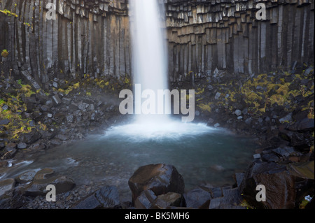 Svartifoss (noir) Chutes Cascade, avec des colonnes de basalte noir, surplombant le parc national de Skaftafell, l'Islande, les régions polaires Banque D'Images