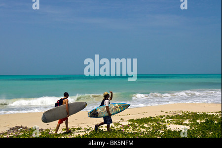 Haïti, Province Sud, Ile a vache, les surfers. Banque D'Images