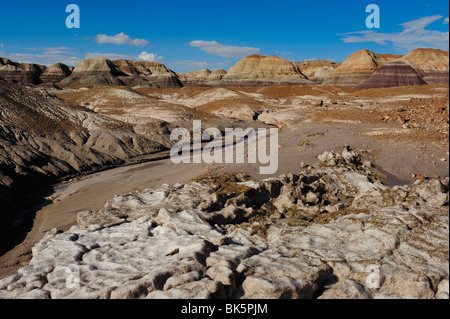 Vue panoramique sur le Parc National de la Forêt Pétrifiée, Arizona, USA Banque D'Images