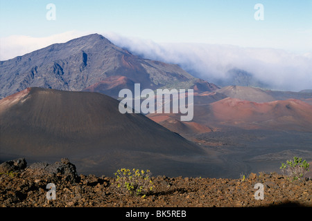 Portrait de cônes de cendres dans le cratère du volcan Haleakala, Maui, Hawaii Banque D'Images