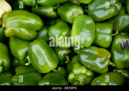 Les poivrons verts bio Banque D'Images